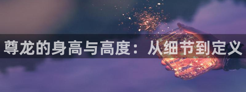 尊龙的身高与高度：从细节到定义
