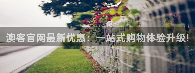 jdb电子飞鸟派对