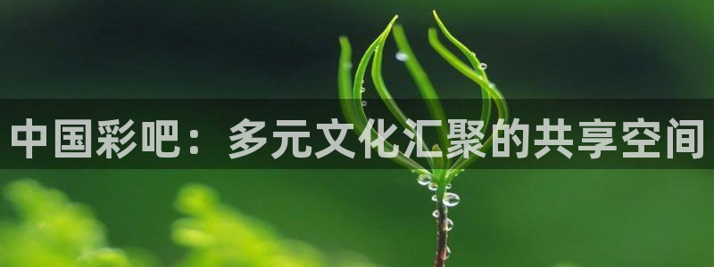 jdb变脸电子游戏技巧：中国彩吧：多元文化汇聚的共享空间